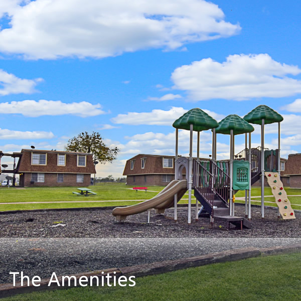 Features & Amenities