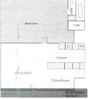 AO - One Bath - 413 Sq. Ft.*
